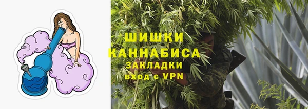 спайс Заречный