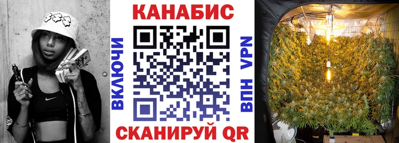 Конопля индика  даркнет сайт  Каргополь 